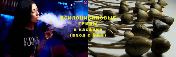 а пвп мука Балабаново