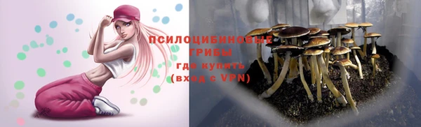 каннабис Баксан