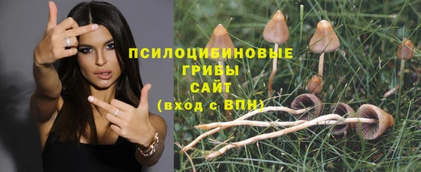 а пвп мука Балабаново